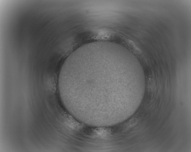 X0000072970370200607282328