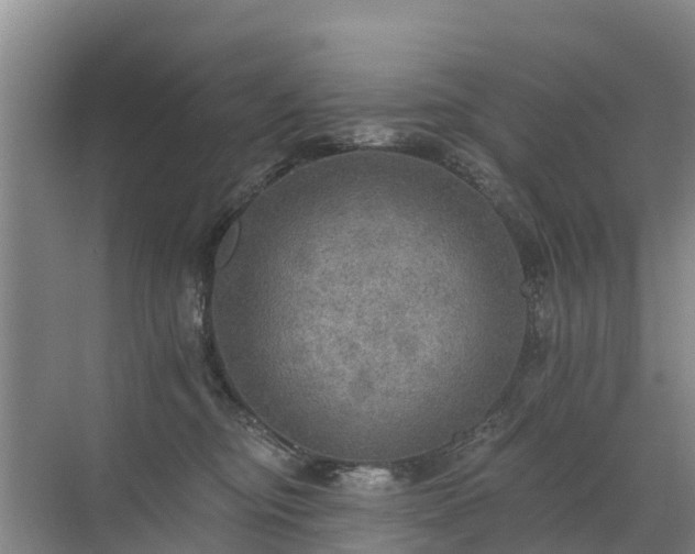 X0000072970374200607282328