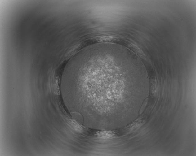 X0000072970378200607282328