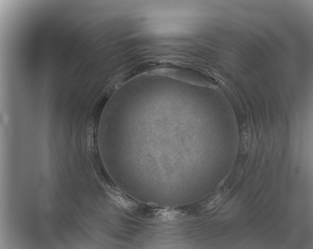 X0000072970379200607282328