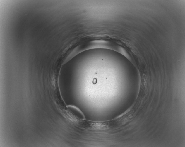 X0000072970380200607282328