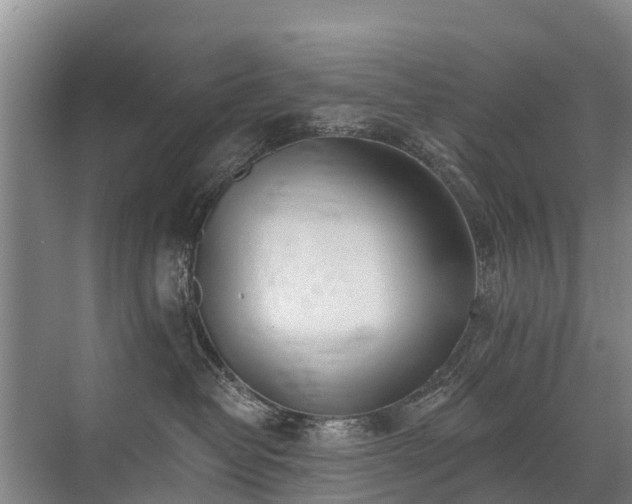 X0000072970382200607282328