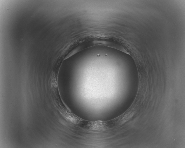 X0000072970384200607282328