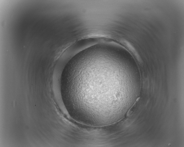 X0000072970385200607282327