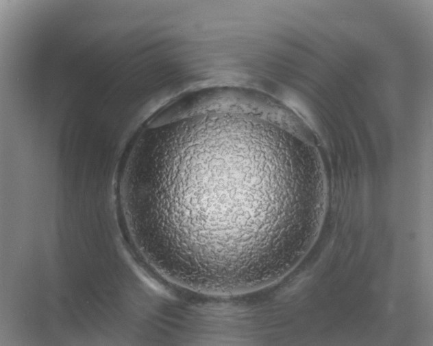 X0000072970389200607282327