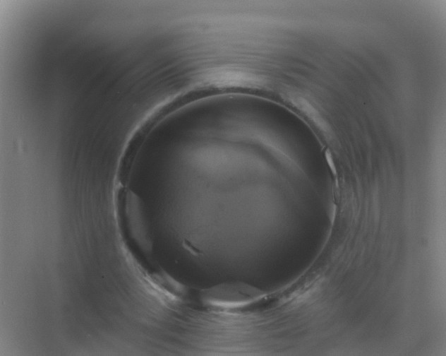 X0000072970391200607282327