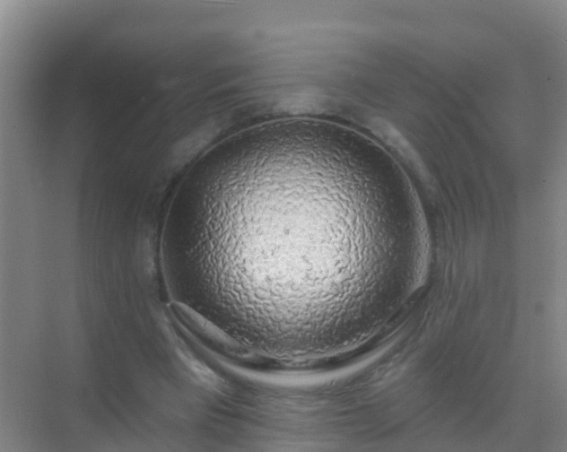 X0000072970393200607282327