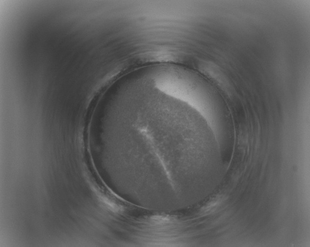 X0000072970394200607282327