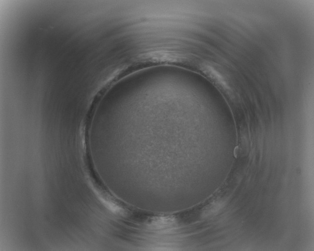 X0000072970398200607282327