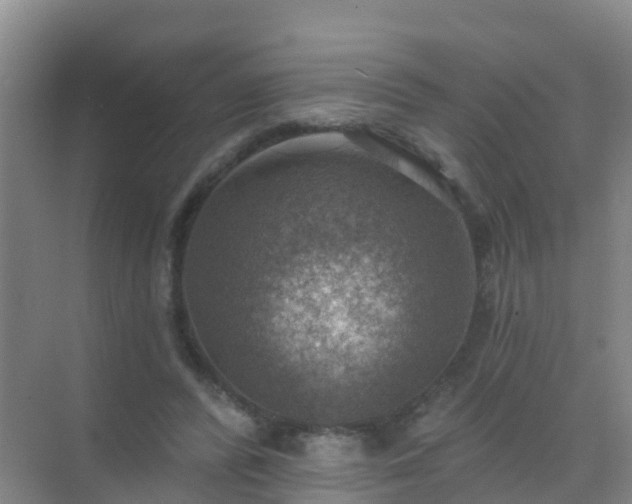 X0000072970400200607282327