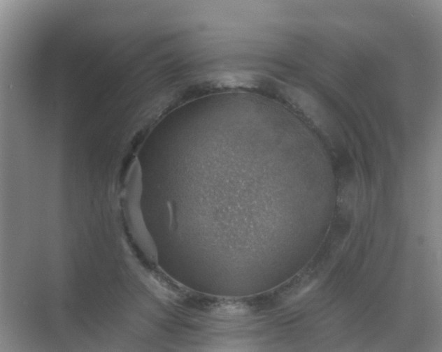 X0000072970402200607282327