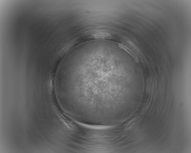 X0000072970405200607282327