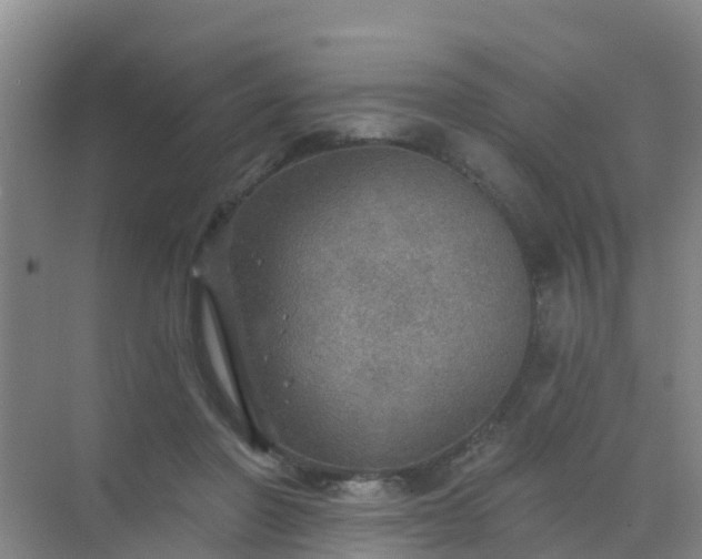 X0000072970406200607282327