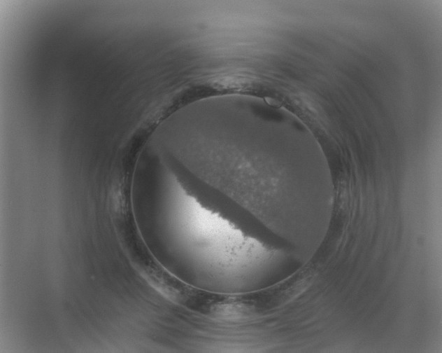 X0000072970408200607282327