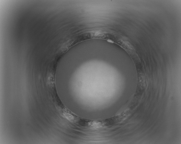 X0000072970419200607282327