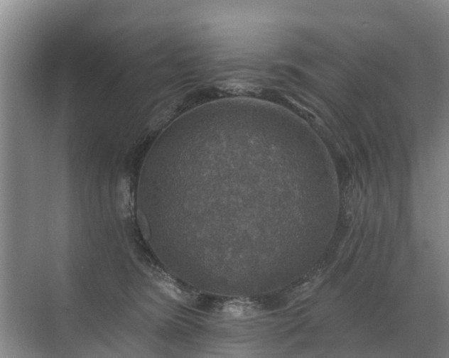 X0000072970420200607282327