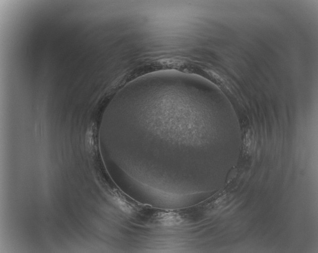 X0000072970424200607282327