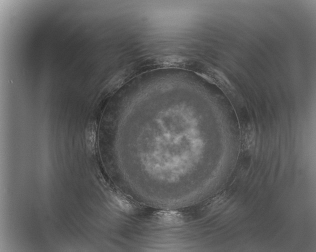 X0000072970427200607282327