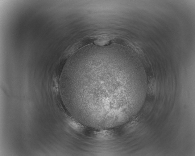 X0000072970430200607282327