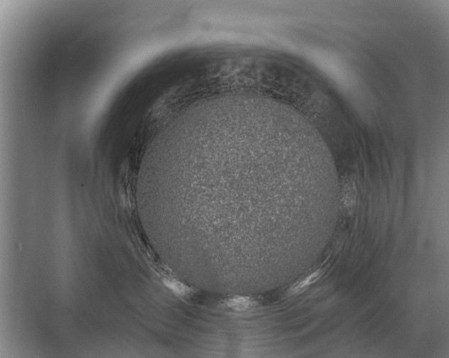 X0000072970431200607282327