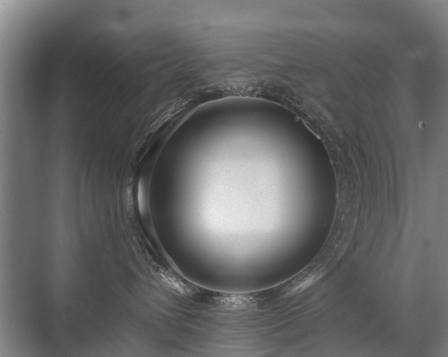 X0000072970432200607282327