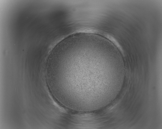 X0000072970433200607282326