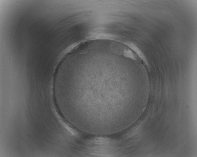 X0000072970437200607282326