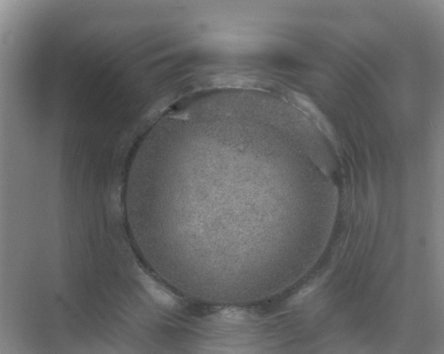 X0000072970441200607282326