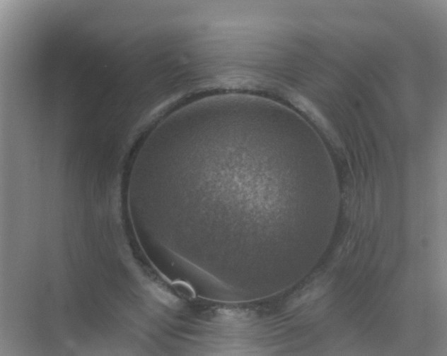 X0000072970442200607282326