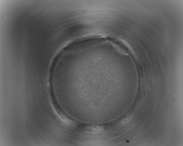 X0000072970443200607282326