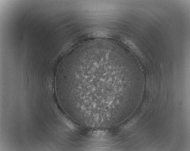 X0000072970449200607282326