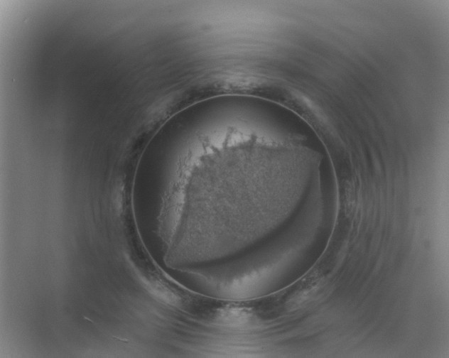 X0000072970451200607282326