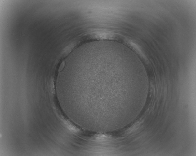 X0000072970453200607282326