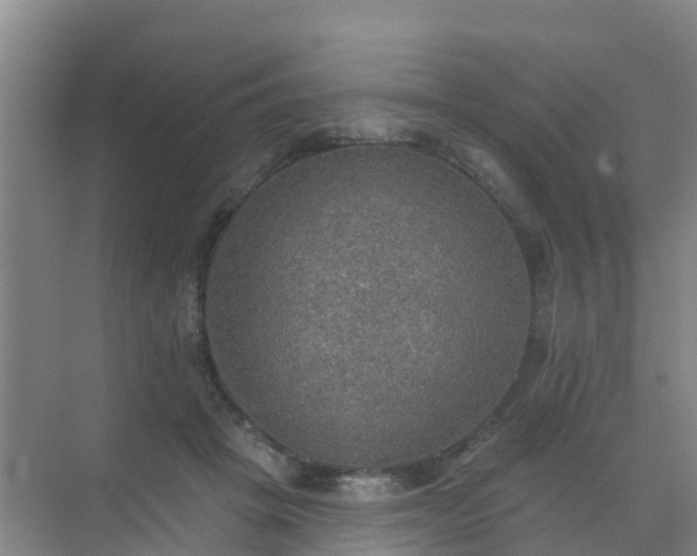 X0000072970457200607282326