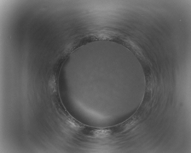 X0000072970465200607282326