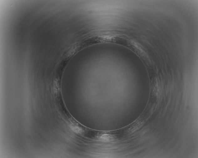 X0000072970467200607282326