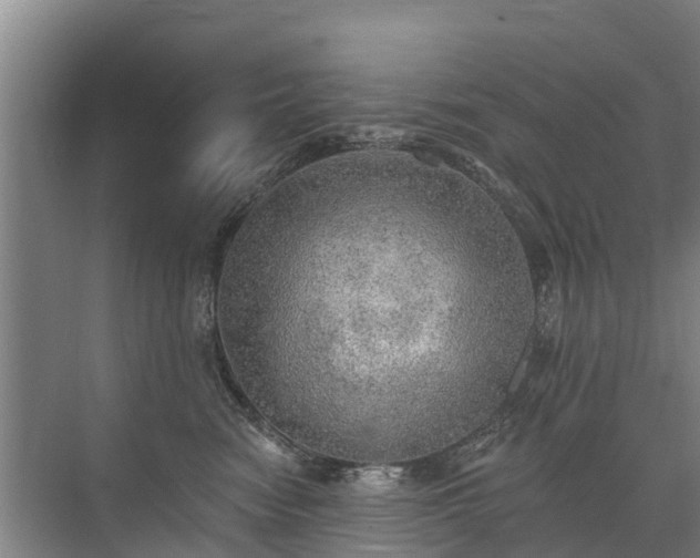 X0000072970474200607282326