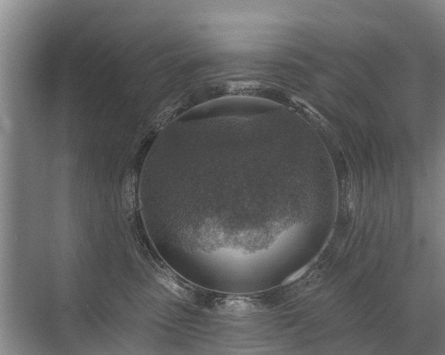 X0000072970475200607282326