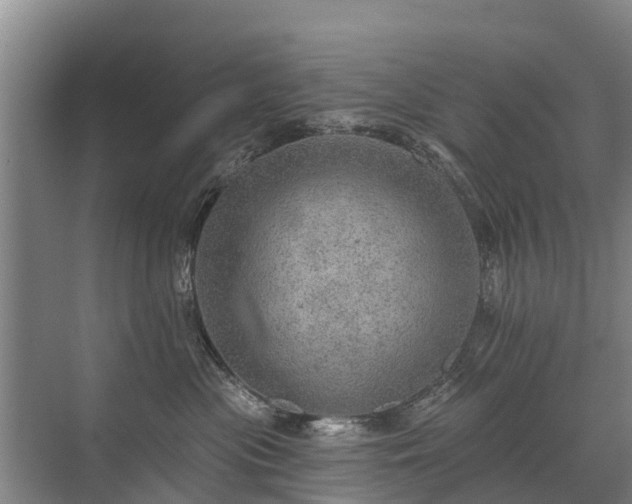 X0000072970477200607282327