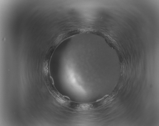 X0000072970479200607282327