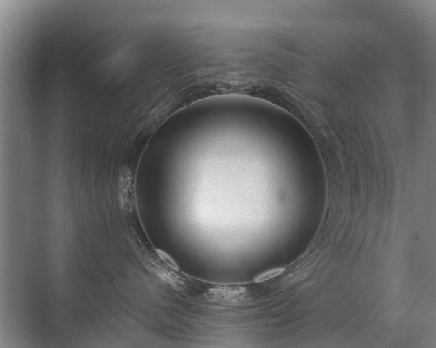 X0000072970480200607282327