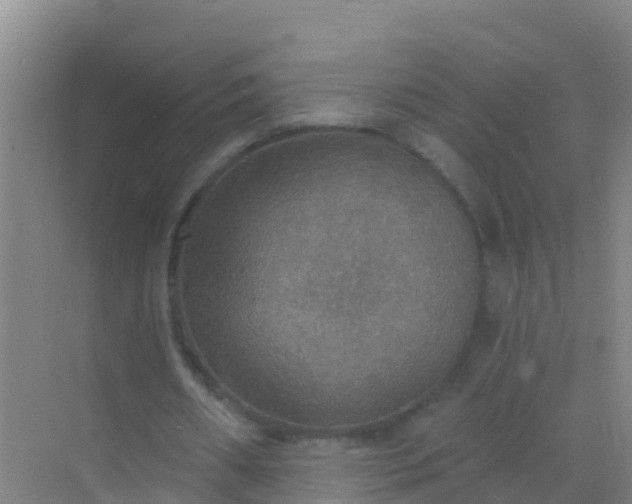 X0000072970482200607282326