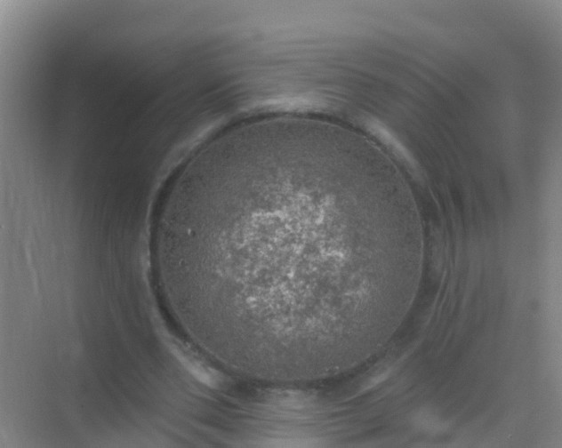 X0000072970486200607282326