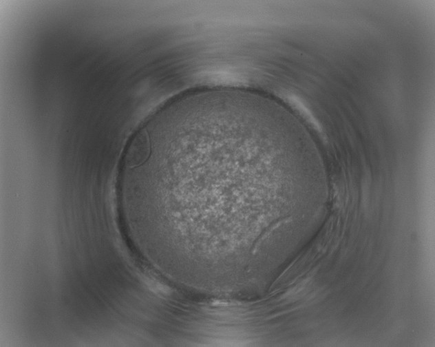 X0000072970487200607282326