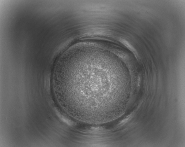 X0000072970493200607282326