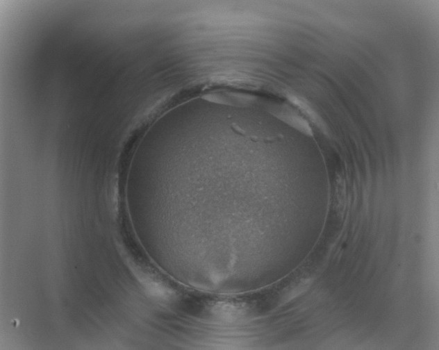 X0000072970494200607282326