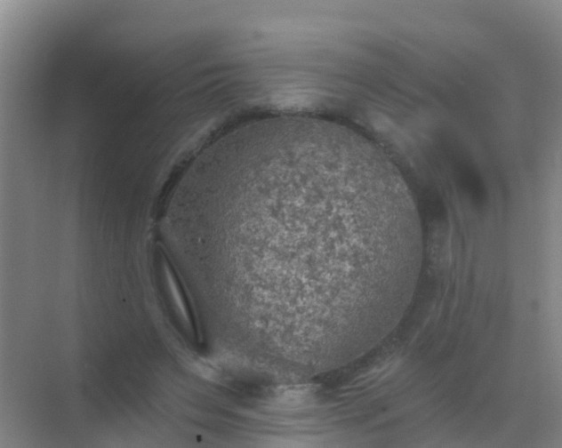 X0000072970495200607282326