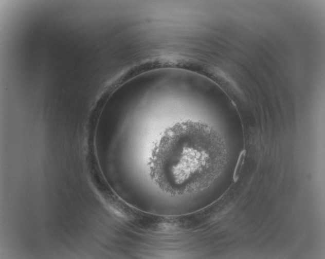 X0000072970496200607282325