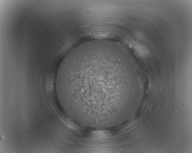 X0000072970499200607282325