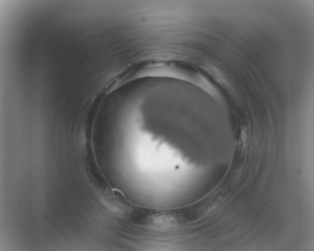 X0000072970500200607282325